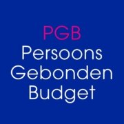 Persoonsgebonden budget